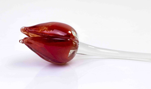 Loranto + Tulp, rood